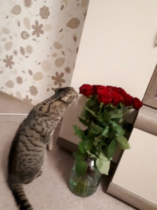 Фото к отзыву