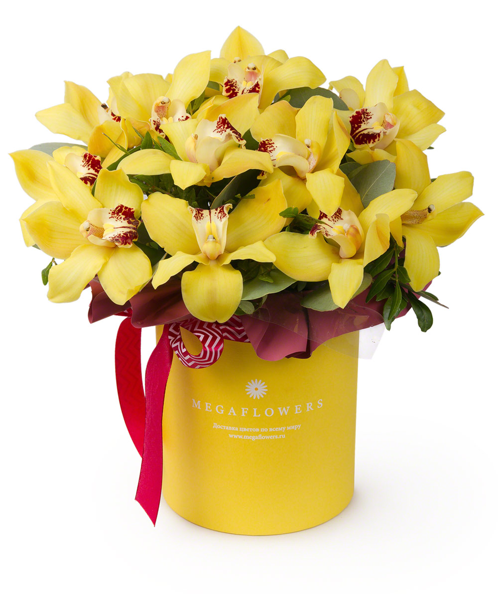 Желтая Орхидея Цимбидиум в букете
