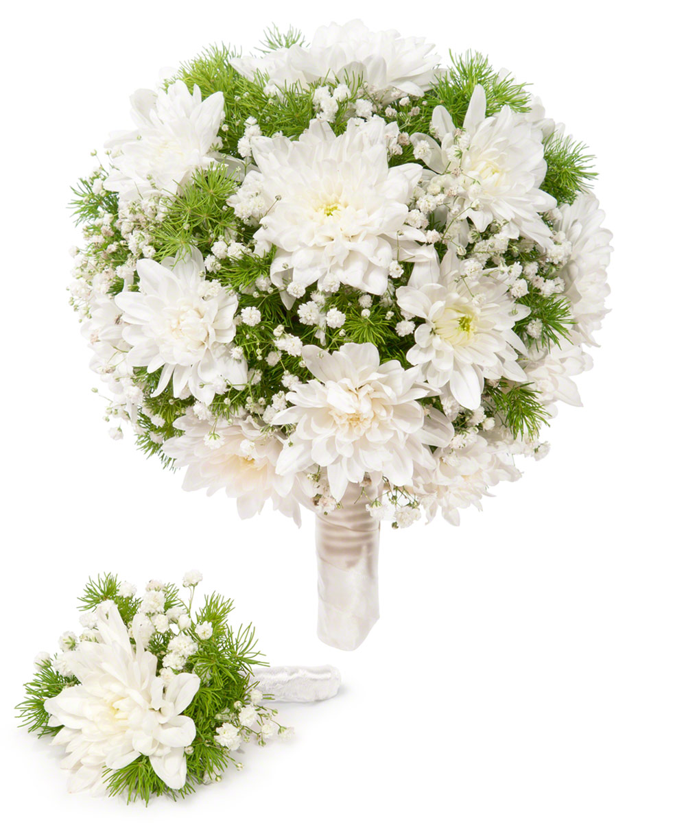 Хризантема Белая Невеста