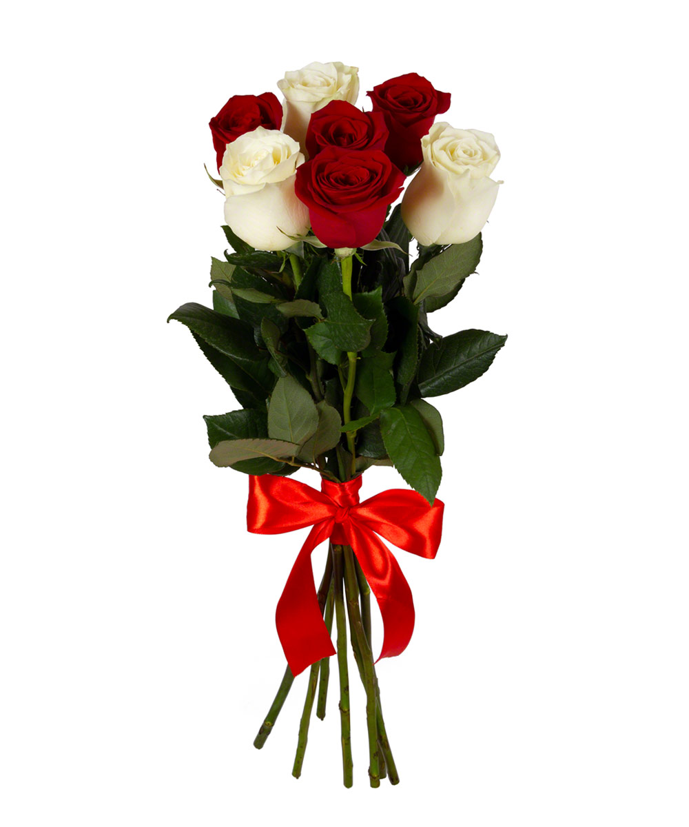 Сколько стоит купить 3 розы. Элегия букет "Розалин" 60 см. Элегия букет "милый" 50 см. Букет "9 красных гербер". Букет "7 красных роз".