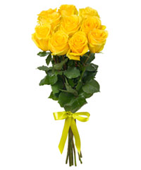 Букет из 11 желтых роз