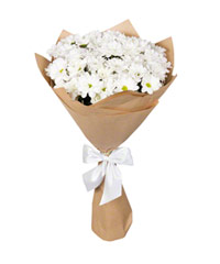 Bouquet of Chrysanthemum