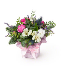 Композиция "Морозное утро"