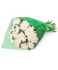 Букет из 15 белых хризантем