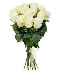 Букет из 15 белых роз