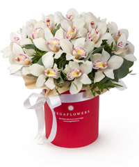 Композиция "Белая жемчужина"