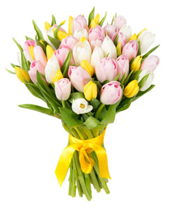 Букет из цветов "Букет из 51 тюльпана микс" 25 - 35 см.
