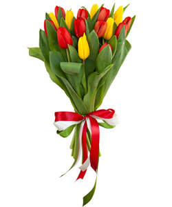 Букет из цветов "Букет из 17 тюльпанов микс" 20 - 30 см.