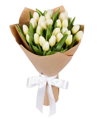 Spring Tulips