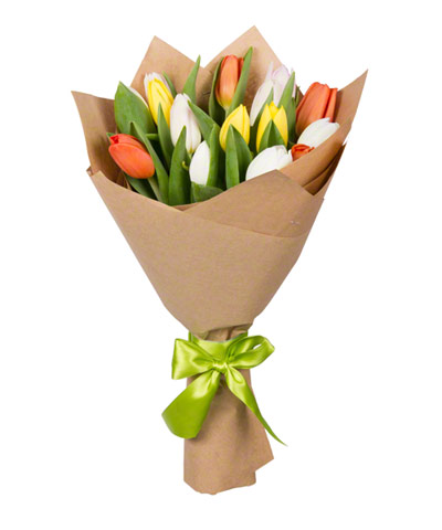 Spring Tulips