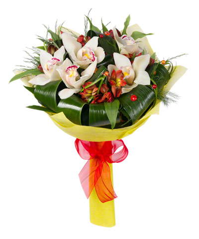 Orchids in Red
